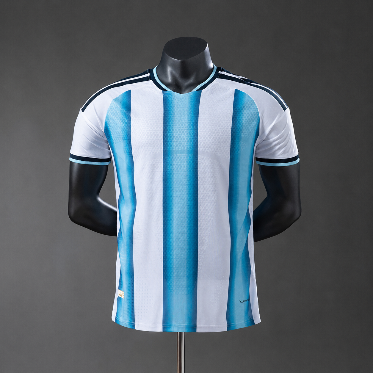 ARG 10 HOME 100%